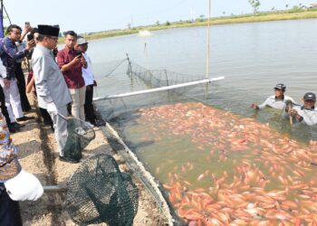 Nila Salin Pati Didorong Masuk Pasar Ekspor Global