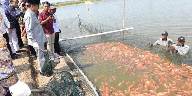 Nila Salin Pati Didorong Masuk Pasar Ekspor Global