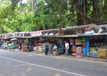 Dari Ramai ke Sepi: ini Kisah Pilu Pedagang Pasar Hewan Barito