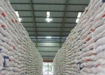 Bulog  Gudang Bulog Nyaris Penuh, Mentan Ajukan Revisi