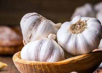 Manfaat Bawang Putih untuk Kesehatan Tubuh Manusia
