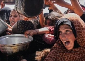 Gaza Krisis Bayi, Susu Formula Diblokir Israel