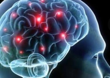 IQ Indonesia Lebih Rendah dari Kamboja