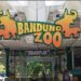 Wali Kota Bandung Geram Konflik Pengelolaan Bandung Zoo Tak Kunjung Usai