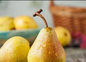 Buah Asam yang Masih Aman untuk Lambung