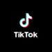 TikTok Kembali Diselidiki Uni Eropa Soal Penyimpanan Data Pengguna