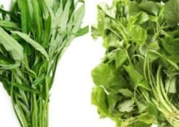 Efek Konsumsi Bayam dan Kangkung Setiap Hari