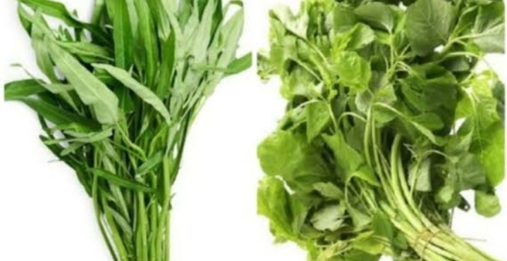 Efek Konsumsi Bayam dan Kangkung Setiap Hari