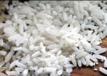 Skandal Beras Premium, 26 Merek Diperiksa Polisi, Puluhan Lain Menyusul