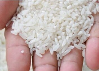 Warga Depok Dikhianati Beras Premium Oplosan