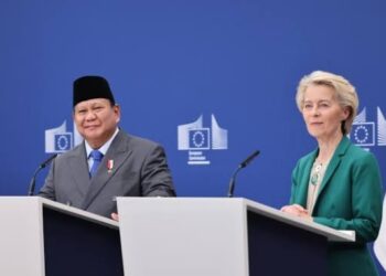 Strategi Prabowo Bangun Diplomasi dengan Uni Eropa Demi Kepentingan RI