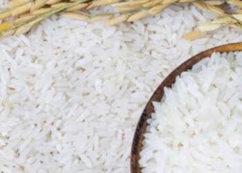 Jenis Beras Termahal Dunia, Capai Rp 1,7 Juta