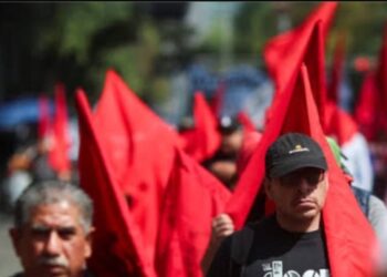 Meksiko Tak Terima Jadi Alat Kampanye AS Dituding Politisasi Larangan Ternak