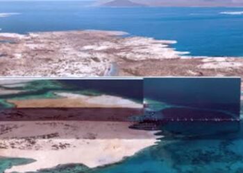 Arab Saudi Tinjau Proyek The Line Tekanan Fiskal, NEOM Hadapi PHK Massal