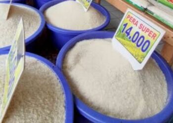 Distribusi Minim, Harga Beras Kian Tak Terkendali  Dan Melambung, Pemerintah Gelontorkan SPHP