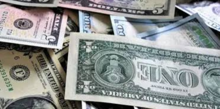 Mentan Dorong Hilirisasi Komoditas Ekspor Rupiah Rp 1.000 Jika Dimulai Sekarang