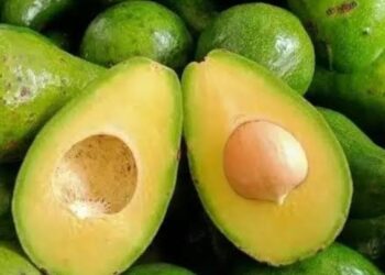 10 Manfaat Buah Alpukat yang Jarang Diketahui