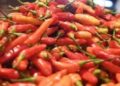 Harga Cabai dan Bawang Turun Signifikan