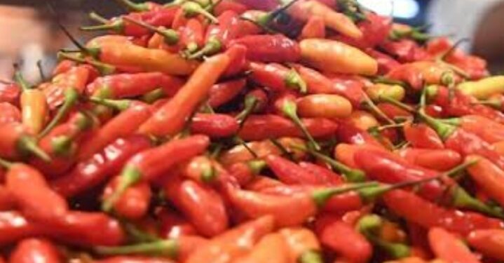 Harga Cabai dan Bawang Turun Signifikan