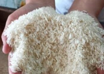 Penghapusan Kelas Beras Dikhawatirkan Rugikan Konsumen Penggilingan Kecil Terancam