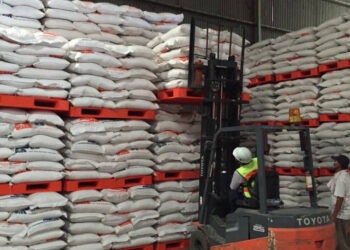 Petani Untung, Produksi Beras dan NTP Sama-Sama Naik