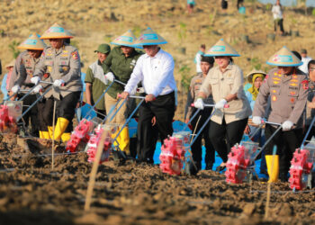 Swasembada Pangan: Polri dan Kementan Sinergi di Grobogan