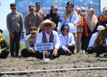 Sulbar Fokus Kembangkan Hortikultura, Majene Jadi Prioritas