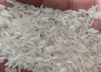 Umumkan 212 Merek Beras Oplosan, Komisi IV DPR: Mafia Pangan Harus Dipenjara