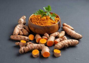 Daftar Negara Penghasil Kunyit Terbesar