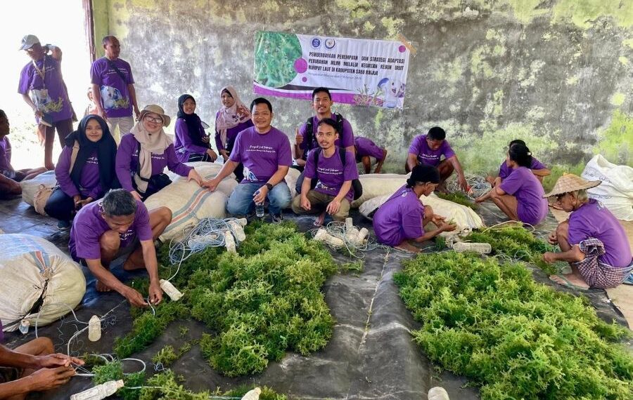 Perempuan Pesisir Sabu Raijua Dapat Bibit Rumput Laut Adaptif
