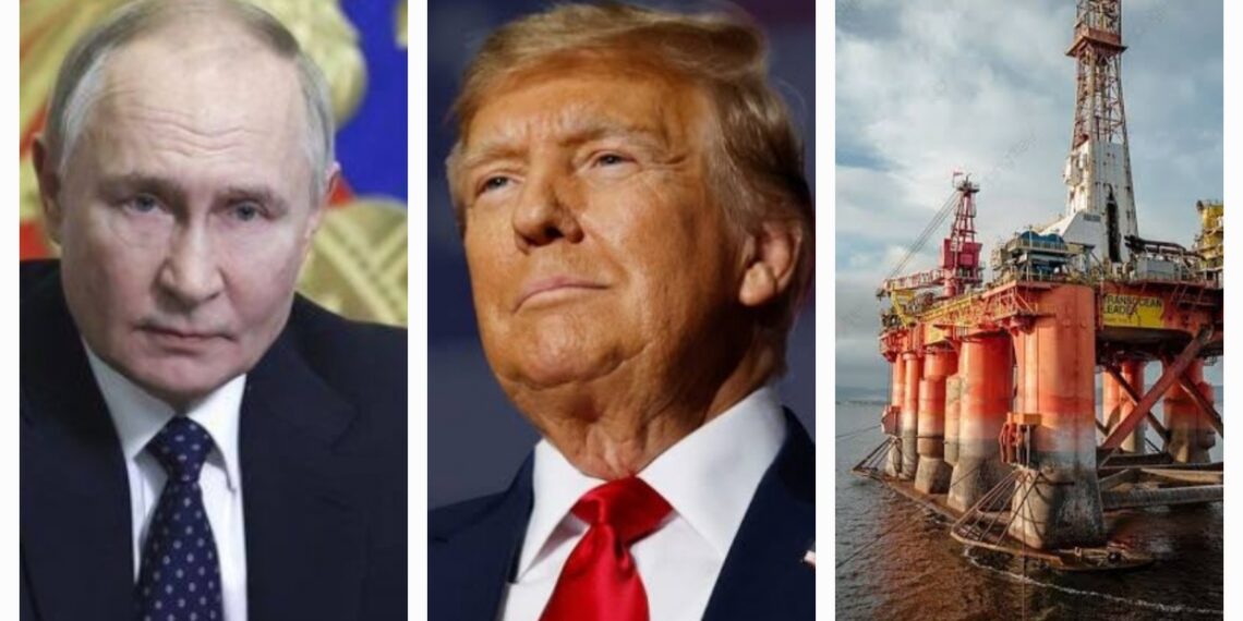 Harga Minyak Turun Usai Isu Pertemuan Trump-Putin