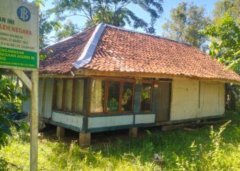 Kejaksaan Lelang Aset Lee Darmawan, Hasil Disetor BI