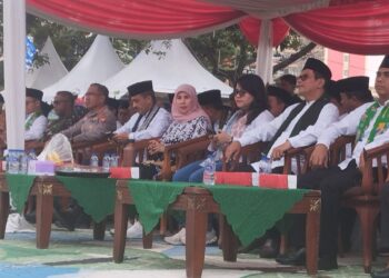 Wali Kota Jakarta Selatan Buka Festival Dewan Kota 2025, Meriahkan HUT ke-80 RI