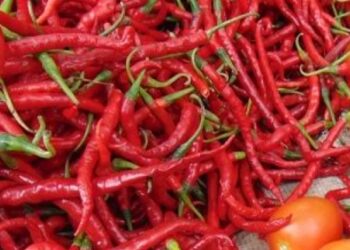 Harga Tomat dan Cabai Anjlok di Pasangkayu