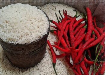 Harga Beras Turun, Cabai Naik Awal Agustus