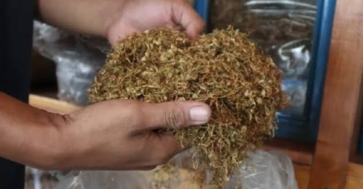 PT Djarum Bidik 6.000 Ton Tembakau KemlokoTemanggung Ini Syaratnya