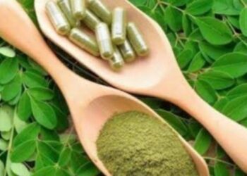 Studi: Makanan Tradisional Tingkatkan Sistem Imun Jamur hingga Kelor Ampuh Cegah Penyakit Kronis