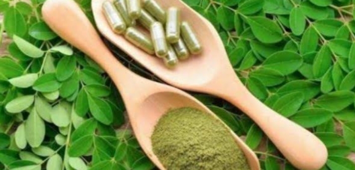 Studi: Makanan Tradisional Tingkatkan Sistem Imun Jamur hingga Kelor Ampuh Cegah Penyakit Kronis