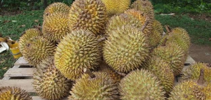 Makan 7 Durian Sehari, Pria Ini Kena Stroke