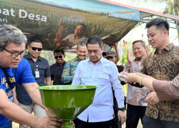 Program Mandiri Sahabat Desa Majukan Petani Sorgum