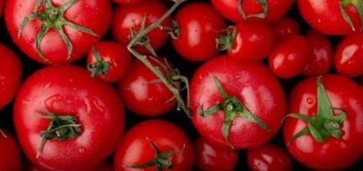 Lima Manfaat Tomat Bagi Kesehatan Tubuh