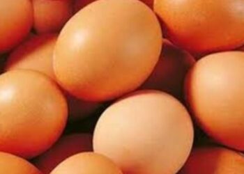 Fakta Baru Telur dan Risiko Kolesterol