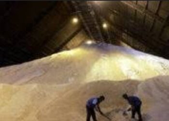 Krisis Gula Rakyat: Dana Petani 300 Miliar Rupiah Mengendap