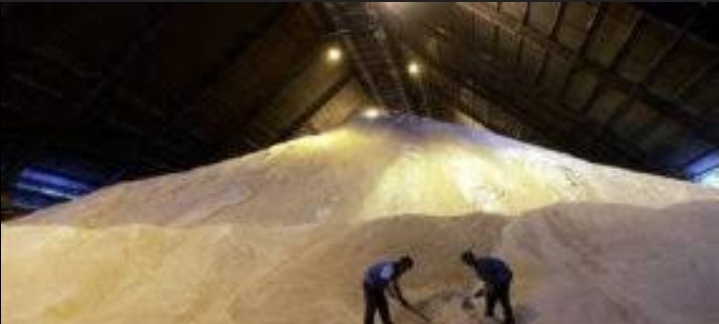 Krisis Gula Rakyat: Dana Petani 300 Miliar Rupiah Mengendap