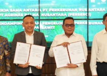 BPKP Dampingi Agrinas Palma 20 Hari