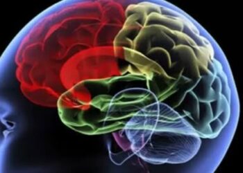 7 Kebiasaan Sepele yang Merusak Otak