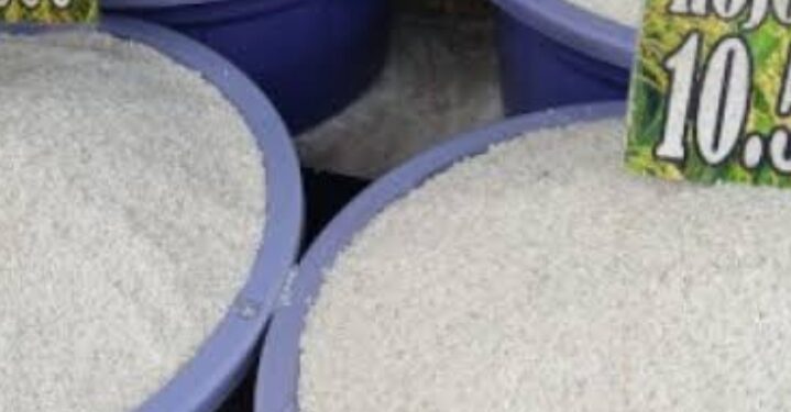 Stok Melimpah, Beras Tetap Dijual Mahal Banyaknya Mafia Bermain