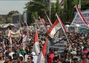 Pemda Ramai-ramai Naikkan Tarif PBB Pengamat Bongkar Alasan Kenaikan