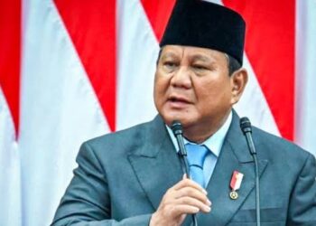 Prabowo Tegaskan Izin Khusus Penggilingan Beras