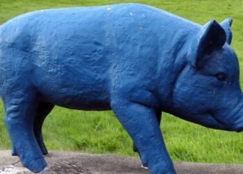 Misteri Daging Babi Biru Neon di California